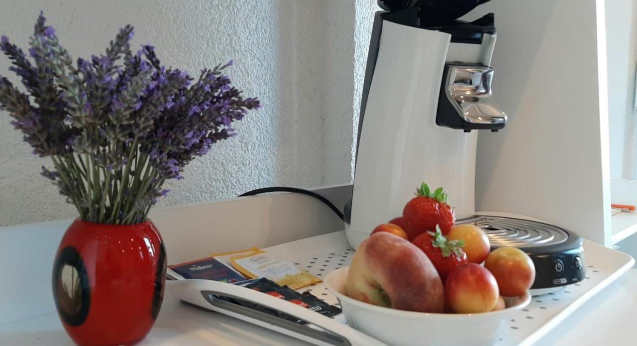 Helles Doppelzimmer Mit Bad, Terrasse Und Pool, Seperater Eingang, Liznjan, Istrien Exteriör bild
